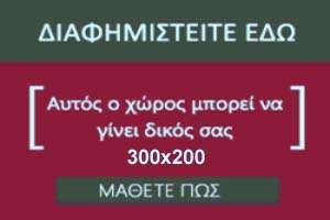 Banner vertical 300