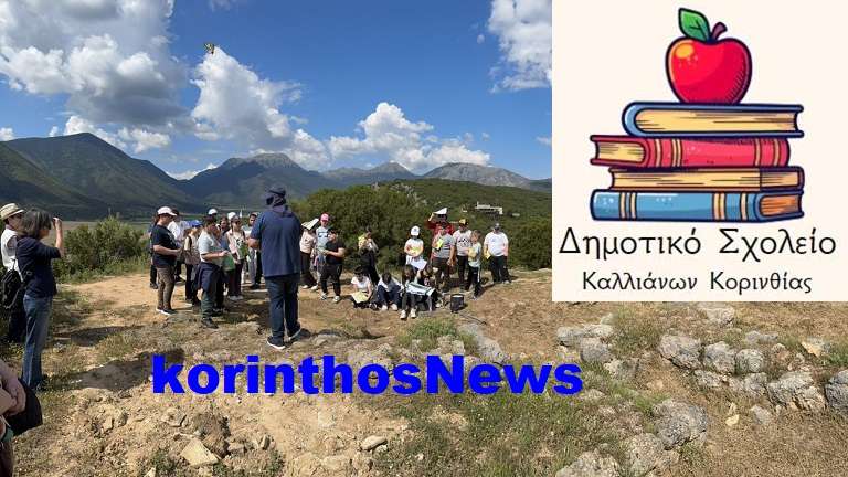 Dimotiko sxoleio kallianwn