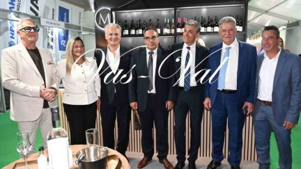 Epimelitirio manwlakis
