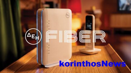 Fiber