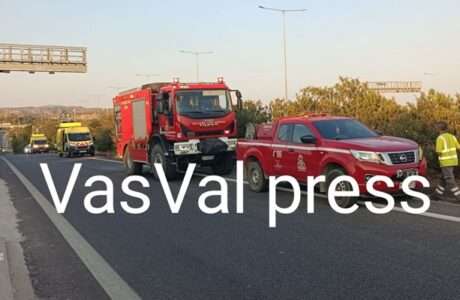 Fotia epidavtou 111