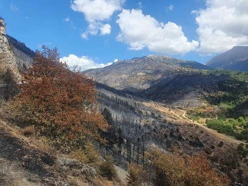 Gkiolis kammena feneos