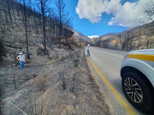 Gkiolis kammena feneos 1