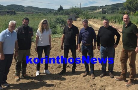 Gkiolis erga nemea