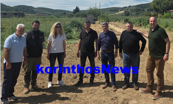 Gkiolis erga nemea