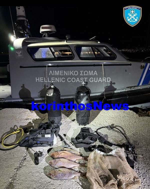 Limeniko katadisi