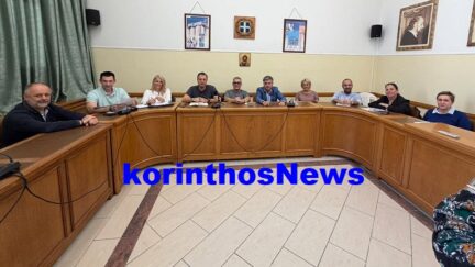 Mellos apinidotes