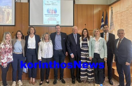 Nefrologiki imerida