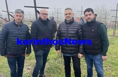 Pistevos elga