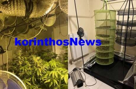 Police Narkwtika Boxa