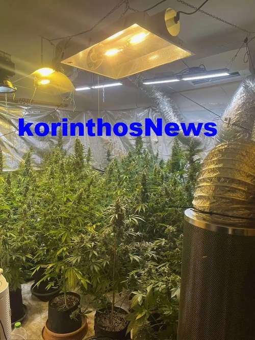 Police kiato kannabi