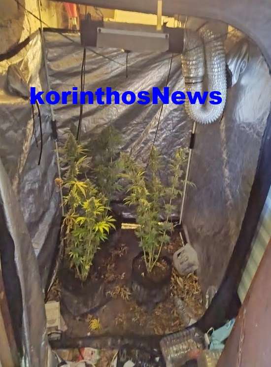 Police korinthos narkwtika