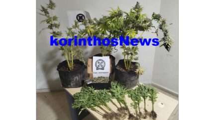 Police korinthos narkwtika