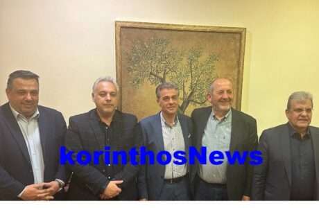 Proedroi epimelitiriwn peloponnisou