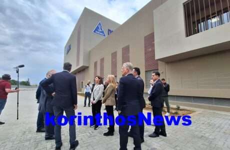 Ptwxos adonis tripoli