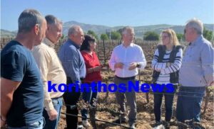 Ptwxos elga nemea