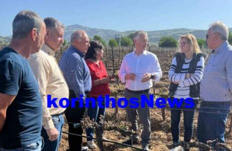 Ptwxos elga nemea