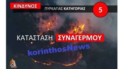 Pyrkagia