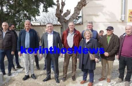 Stavrelis Autopsia Asso Lexaio