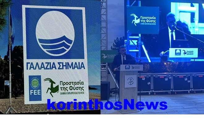 Stavrelis galazies shmaies