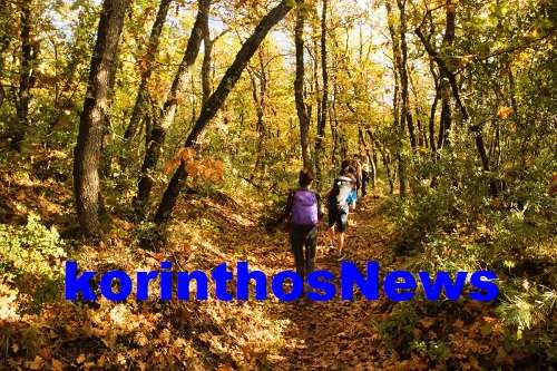 Stavrelis tagaras monopatia