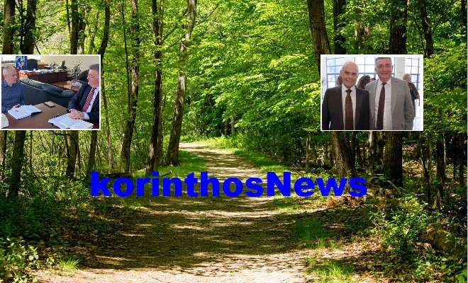 Stavrelis tagaras monopatia