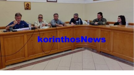 Synedriasi sno