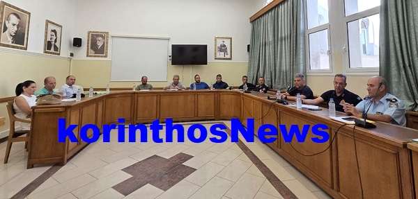 Syntonistiko organo 01