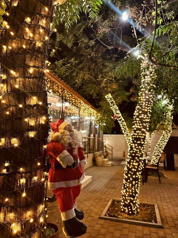 Verani logo xmas1111